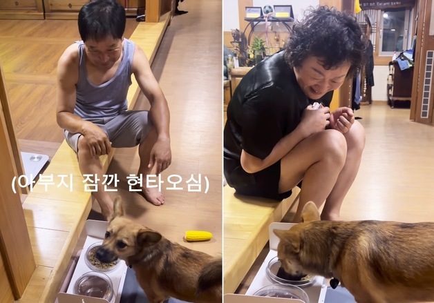 "관객이 있어야 먹어요"…진도믹스 식사법에 웃음 터졌다