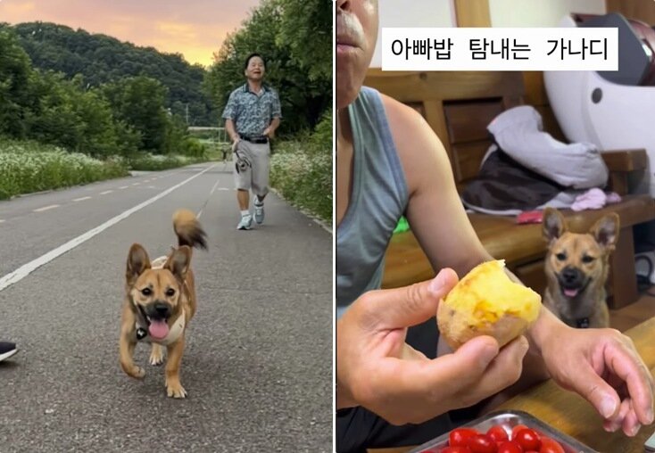 본문 이미지 - 가족과 행복한 일상을 보내는 무찌(인스타그램 muzzi_zzz 제공) ⓒ 뉴스1