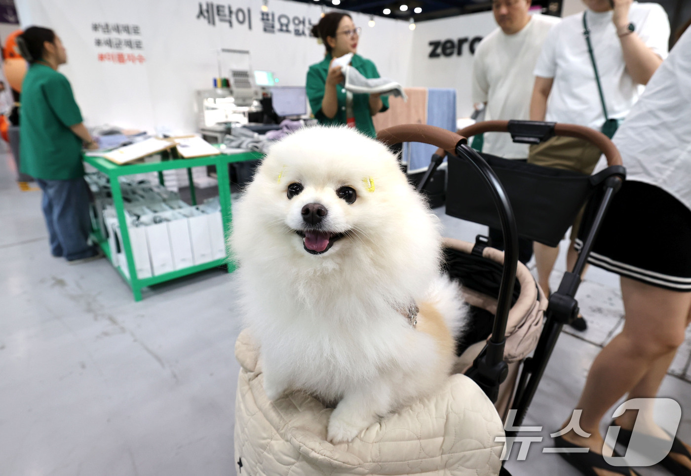 (서울=뉴스1) 이종수 기자 = 19일 서울 강남구 코엑스에서 열린 '2026 케이펫페어 서울'에서 반려견이 유모차를 타고 있다.이번 전시에서는 사료, 의류, 유모차, 장난감 등 …