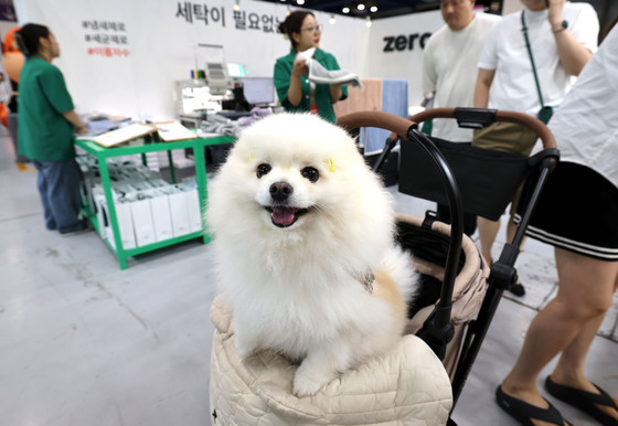 '케이펫페어 놀러왔어요'
