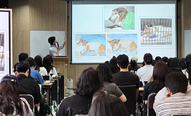 "동물보건사는 병원의 레이더"…입원 동물 모니터링 역할 강조