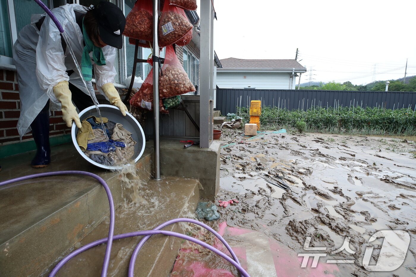 본문 이미지 - 19일 경북 안동시 일직면 귀미리 한 주택 침수 현장에서 봉사자가 물을 퍼내고 있다. 2026.7.19 ⓒ 뉴스1 공정식 기자