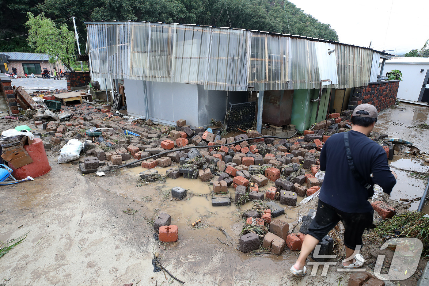 (안동=뉴스1) 공정식 기자 = 19일 경북 안동시 일직면 귀미리 한 주택 담장이 집중호우를 견디지 못해 무너져 있다. 2026.7.19/뉴스1