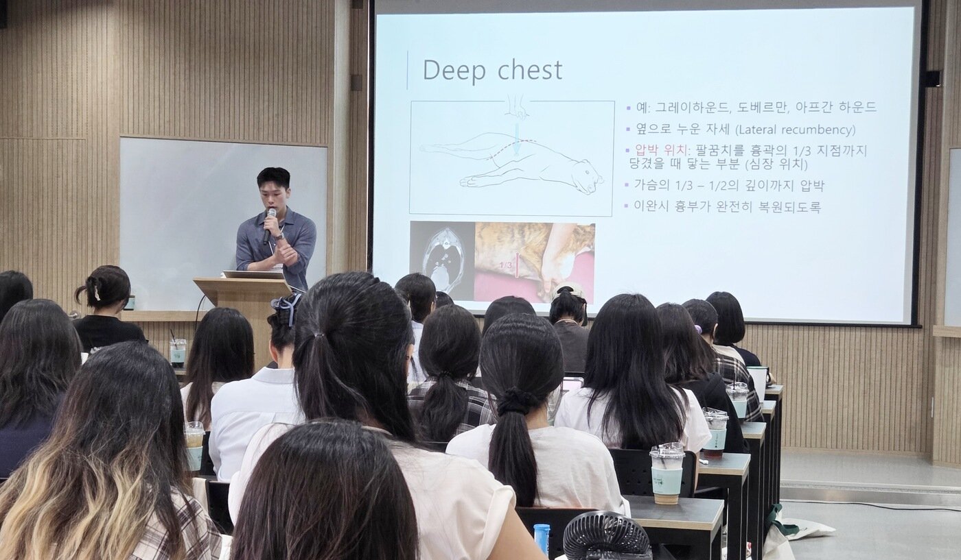 본문 이미지 - 장범수 로얄동물메디컬센터 강동 수의사가 '2026 동물보건사 연수교육'에서 반려동물 체형에 따른 심폐소생술 방법을 소개하고 있다. ⓒ 뉴스1