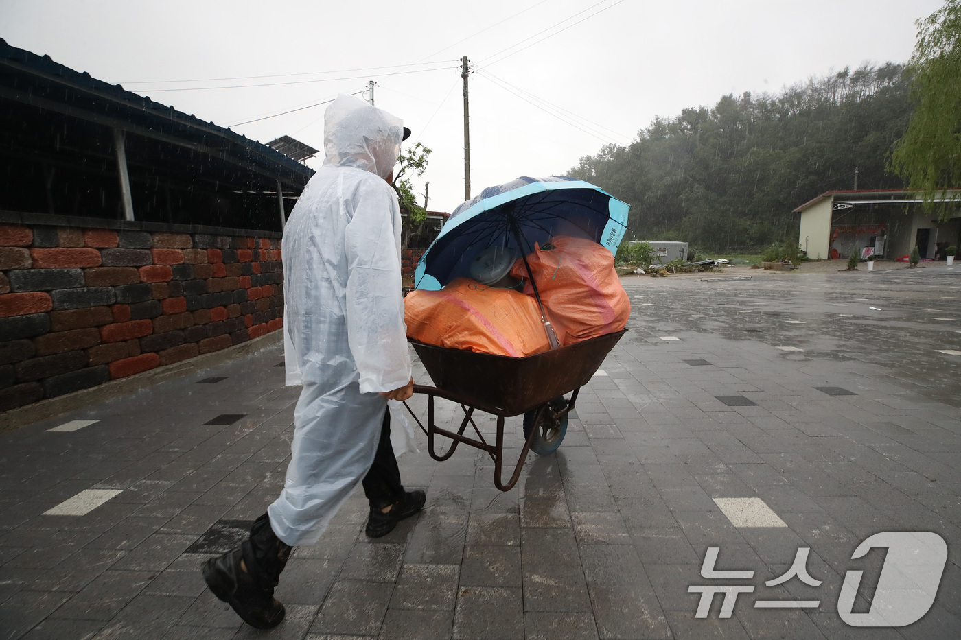 (안동=뉴스1) 공정식 기자 = 19일 경북 안동시 일직면 귀미리 산불 이재민 주거용 임시 주택 일대가 집중호우로 침수된 가운데 수해 복구 현장에 다시 폭우가 쏟아지자 한 이재민이 …