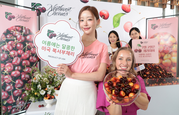 새콤달콤 여름체리 '간편하고 맛있어요!'