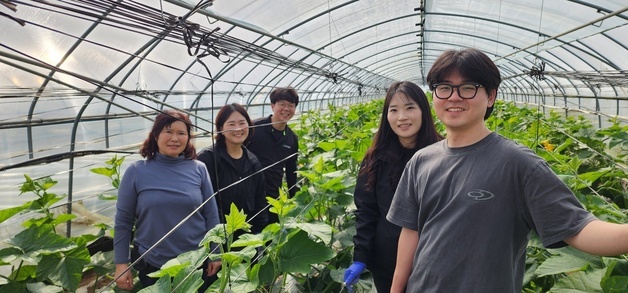 청주시농기센터, 애호박 '뿌리혹병' 원인균 국내 첫 규명