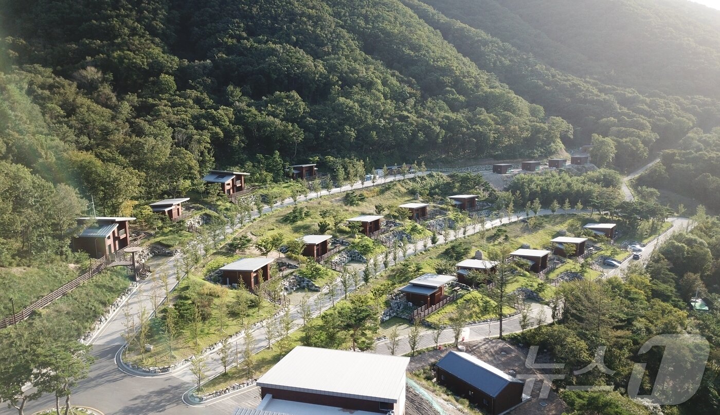 본문 이미지 - 영천 보현산 자연휴양림(영천시 제공. 재판매 및 DB금지) ⓒ 뉴스1 정우용 기자