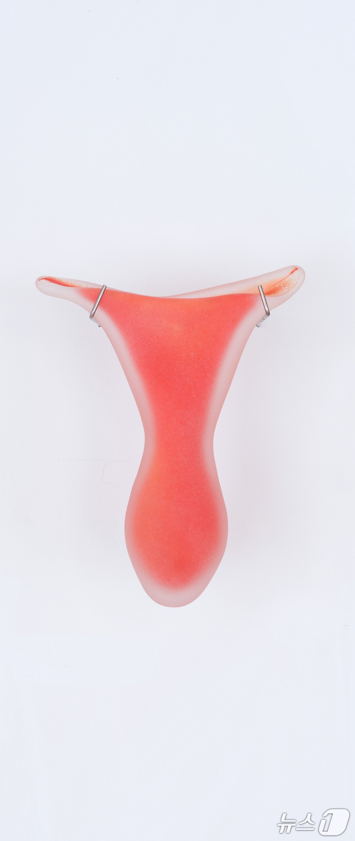 본문 이미지 - 박정은_The Fish (decidual cast), 2025, 유리, 17.0&times;13.7&times;3.6 cm