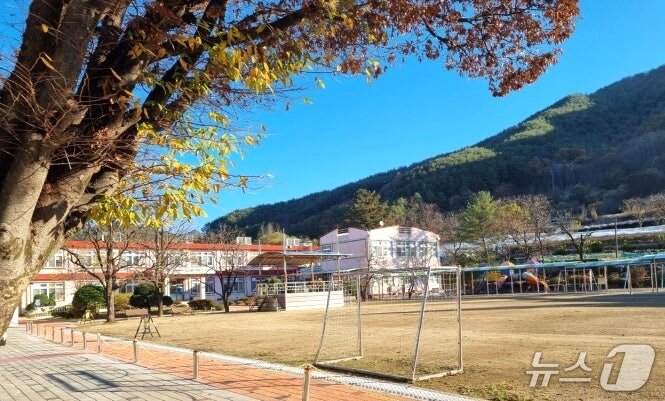 본문 이미지 - 충북 영동군 용화면에 위치한 용화초등학교.(자료사진)/뉴스1 