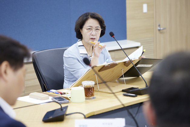 추미애 경기지사, 시도지사협의회장 출마…당선 땐 국무회의 배석