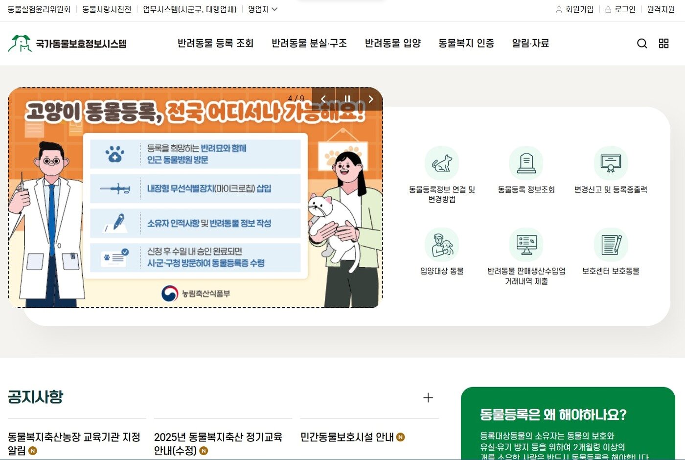 본문 이미지 - 국가동물보호정보시스템 갈무리 ⓒ 뉴스1
