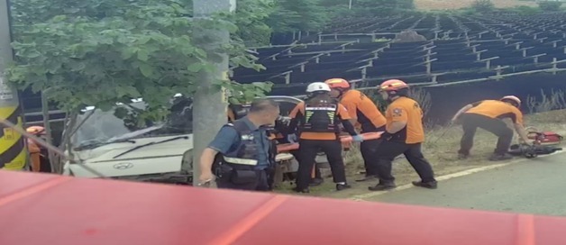 고창 도로 주행하던 트럭 전봇대에 '쾅'…70대 운전자 부상