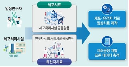 본문 이미지 - 세포처리시설 공동 활용을 통한 임상연구 지원. (보건복지부 제공)