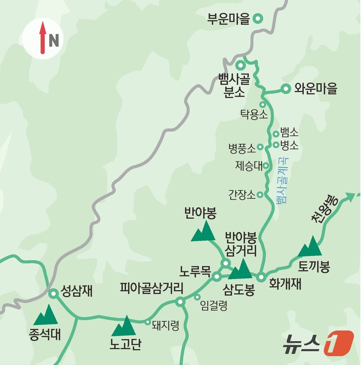 본문 이미지 - 그래픽=김초희 디자이너