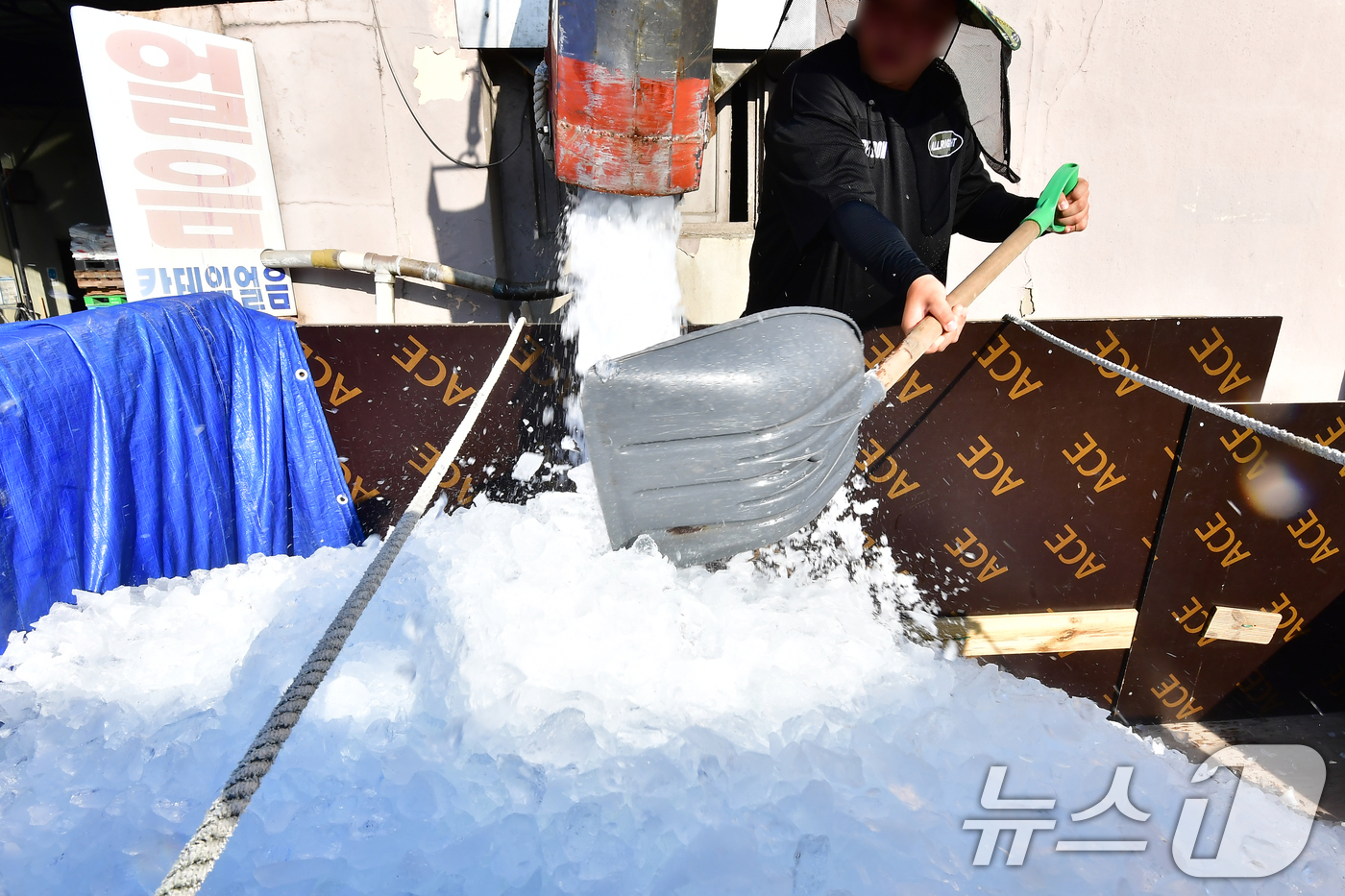 (포항=뉴스1) 최창호 기자 = 경북 포항시 전역에 폭염특보가 발령된 22일 오전 경북 포항시 항구동 제빙공장에서 한 상인이 죽도시장 어물전에 판매할 얼음을 화물차에 싣고 있다. …