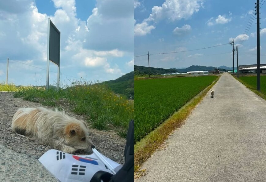 본문 이미지 - 인스타그램 '럭키러버' 갈무리