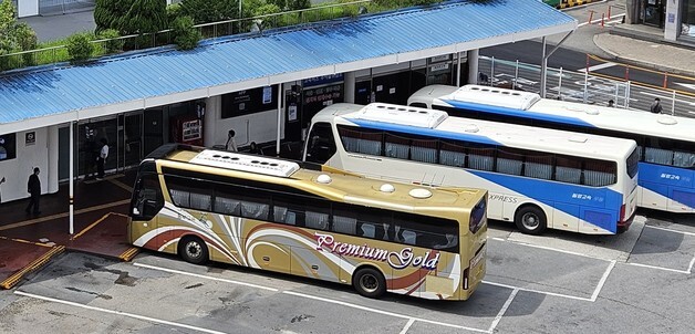 '거제 야호'…천안서 버스 타고 거제 간다