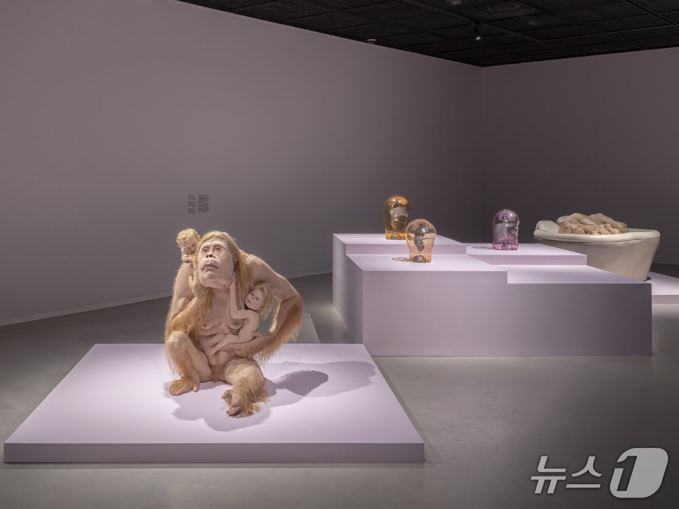 본문 이미지 - 수원시립미술관은 2026 국제전 '패트리샤 피치니니: 킨쉽'을 23일부터 11월 1일까지 경기 수원 팔달구 행궁 본관에서 연다.