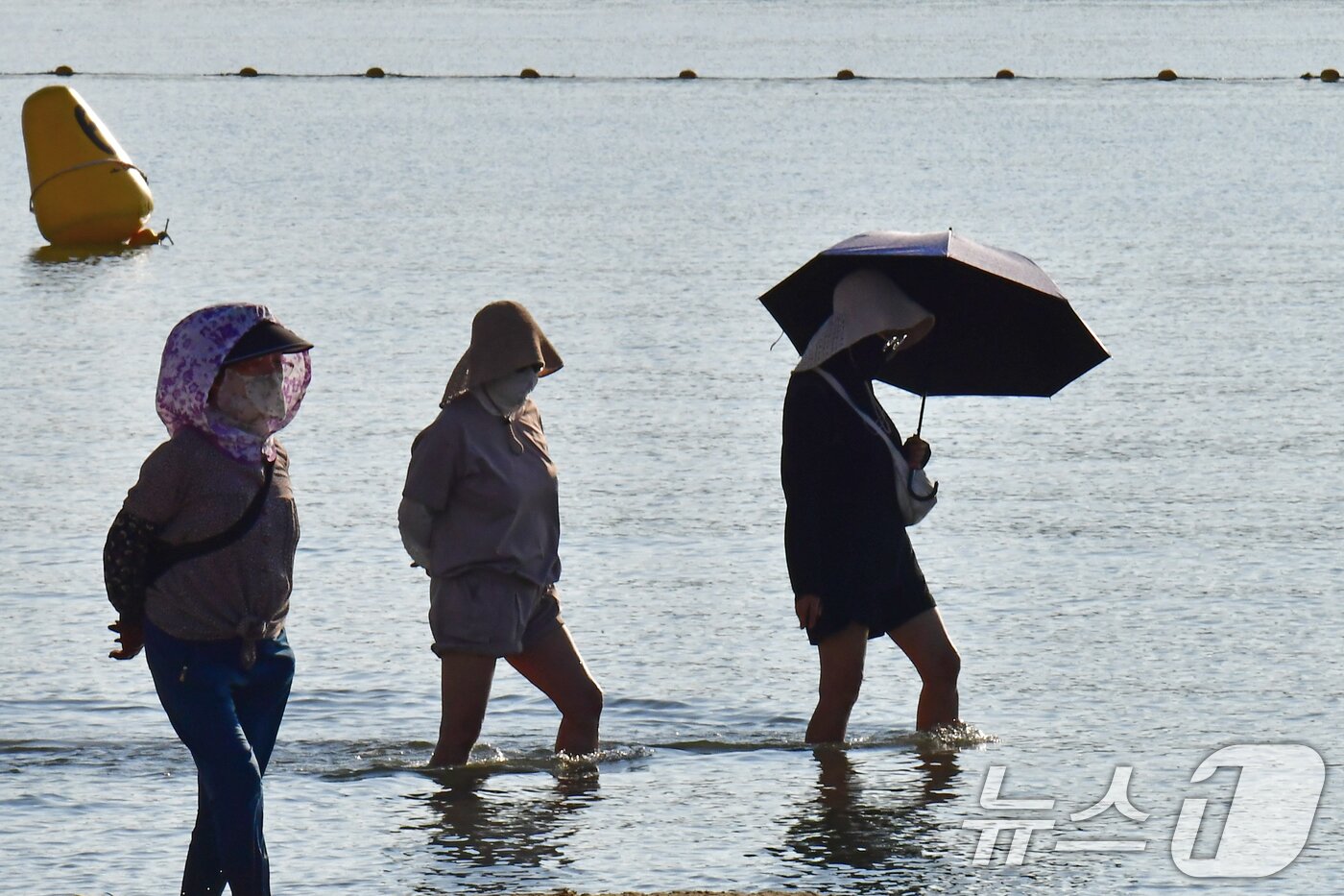 본문 이미지 - 경북 포항지역에 폭염경보가 발령된 23일 오전 경북 포항시 북구 영일대해수욕장에서 우산을 든 시민이 바닷물에 발을 담그고 있다. 2026.7.23 ⓒ 뉴스1 최창호 기자