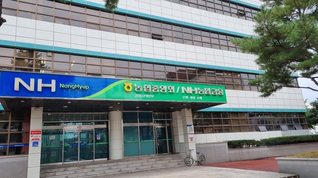 강원도·농협, 농산물 가격안정 총력…기획특판·차액보전 추진
