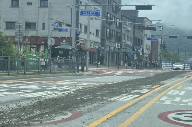 '살수차 비용 60만원 발생'…충주시, 도로에 골재 흘린 차량 추적