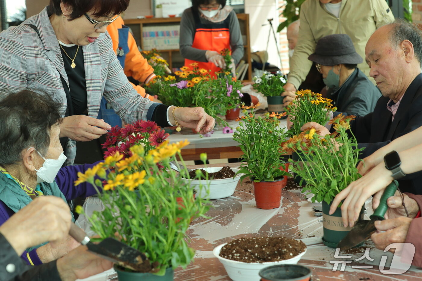 본문 이미지 - 전북 부안 화동 농촌돌봄농장. 화동은 어르신과 경증 치매 노인을 대상으로 원예활동과 인지 프로그램 등을 운영하며 건강한 노후 생활을 지원하고 있다.(전북도 제공. 재판매 및 DB금지)/뉴스1 