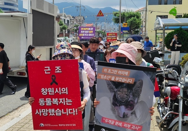 창원서 길고양이 빙초산 학대 규탄 집회…"엄중 처벌해야"