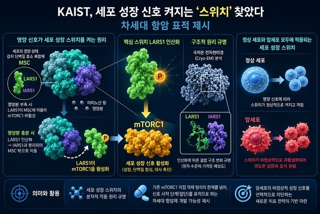 세포 '성장 스위치' 원리 찾았다…암 증식 차단 가능성 제시