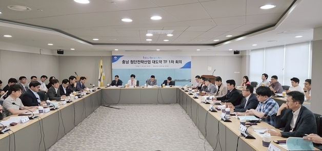 충남도 '첨단전략산업 대도약 전담 조직' 1차 회의
