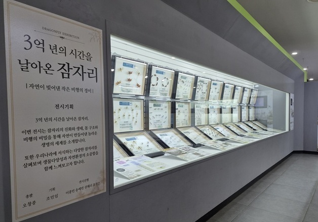 노원구, 여름방학 맞아 자연·과학·예술 체험 프로그램 운영