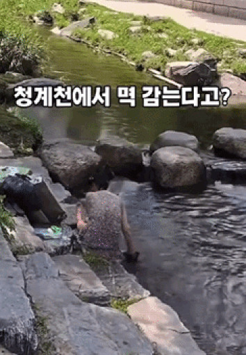 청계천 수난…'동전 싹쓸이' 이어 이번엔 때 미는 '원피스 여성' 등장[영상]