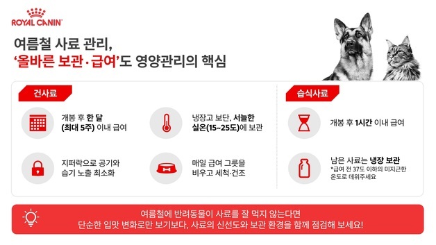 "사료 잘못 보관하면 영양 손실"…여름철 반려동물 사료 관리법