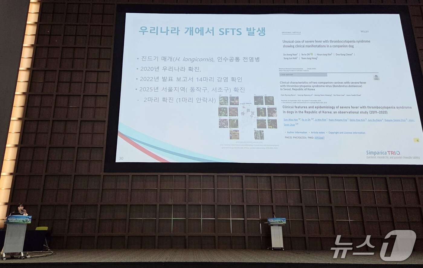 본문 이미지 - 유화욱 조에티스 수의사는 12일 수원컨벤션센터에서 열린 2026 경기수의콘퍼런스 세미나에서 '심패리카 트리오' 교육을 진행했다. ⓒ 뉴스1 최서윤 기자