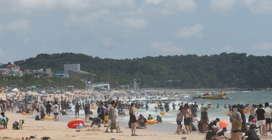 폭염도 삼킨 보령머드축제…전 세계 관광객도 푹 빠졌다