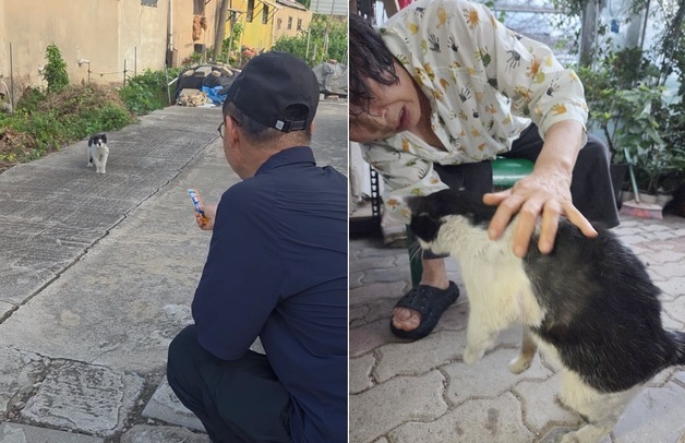 전주서 익산까지…22일 만에 가족 품으로 돌아온 고양이의 기적