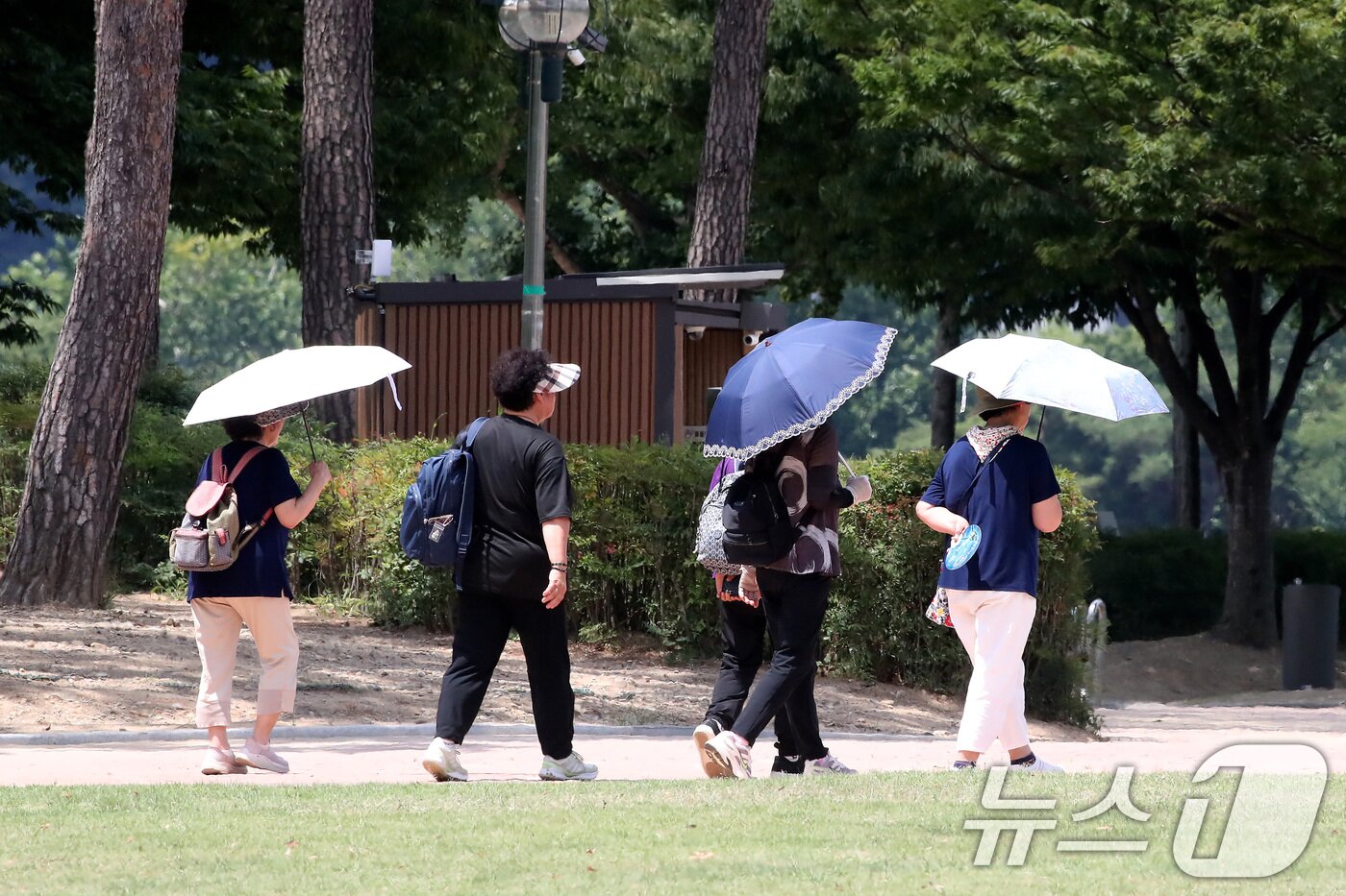 본문 이미지 - 폭염이 계속된 27일 대구 수성구 수성못 상화동산에서 시민들이 뙤약볕을 피하기 위해 양산을 쓴 시민들이 발걸음을 옮기고 있다. 2026.7.27 ⓒ 뉴스1 공정식 기자