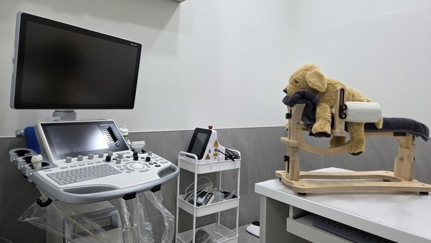 내과·침·재활 치료 '김포나루동물병원' 개원…日 임상 경험 살려