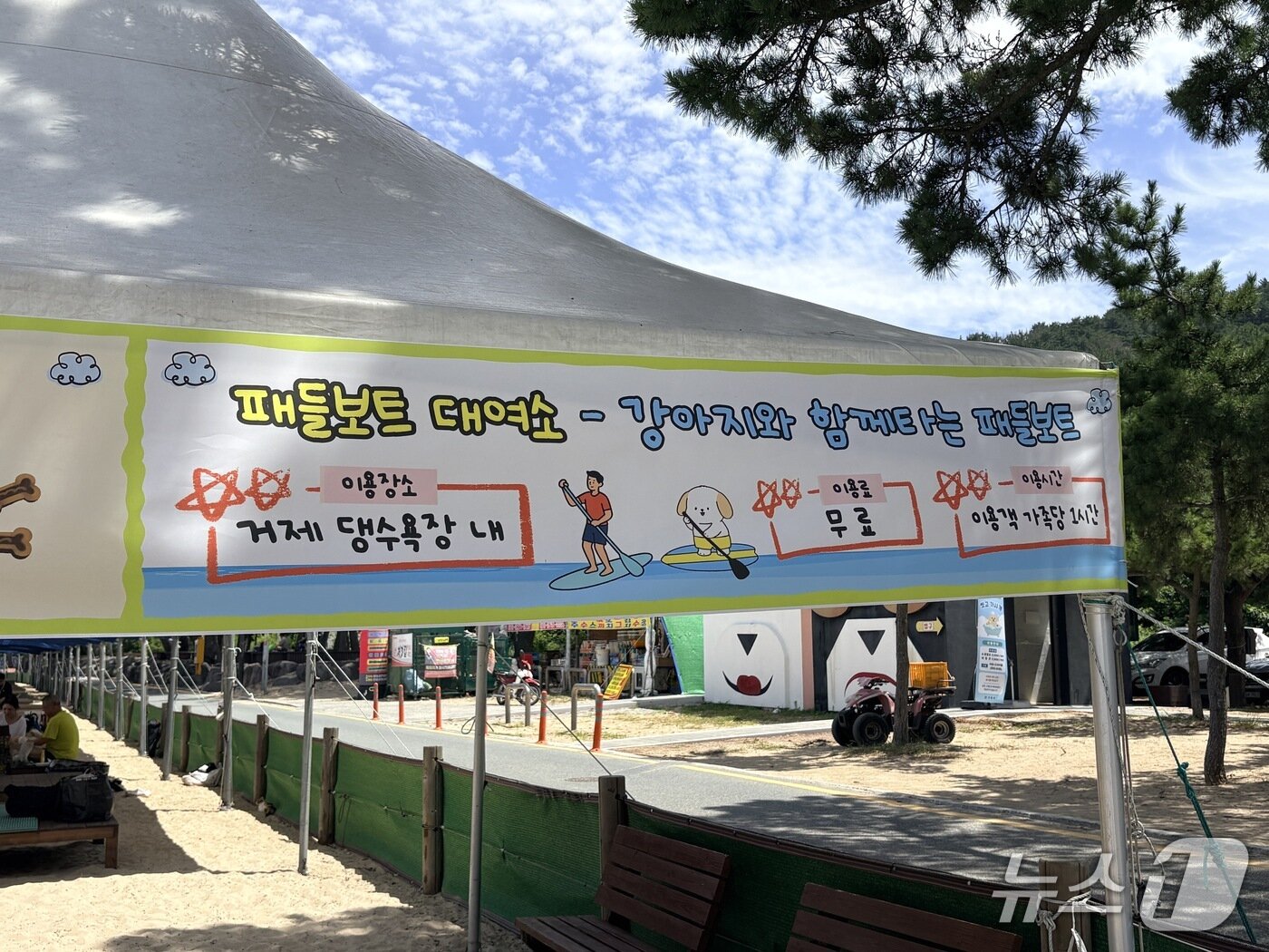 본문 이미지 - 명사해수욕장 내에 설치된 반려견용 패들보트 안내 현수막./뉴스1 강미영기자