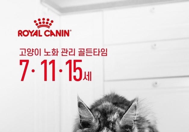 "고양이 노화, 골든타임 7·11·15세"…로얄캐닌 '에이징 캠페인'