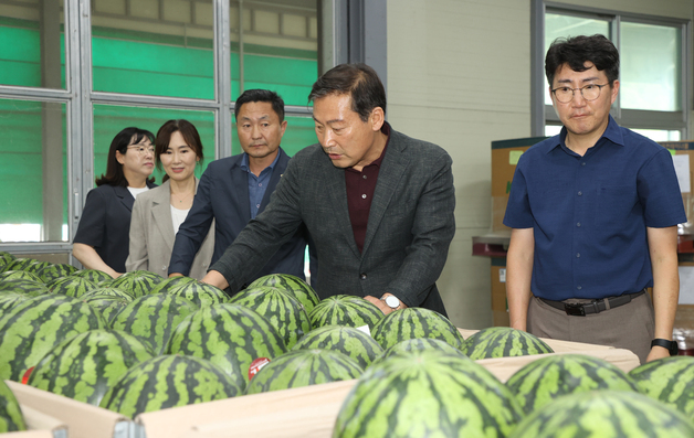"진안고원 명품 수박 맛보세요"…8월 중순까지 5500톤 출하