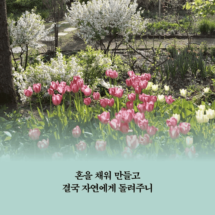 본문 이미지 - [신간] '백년의 정원사'