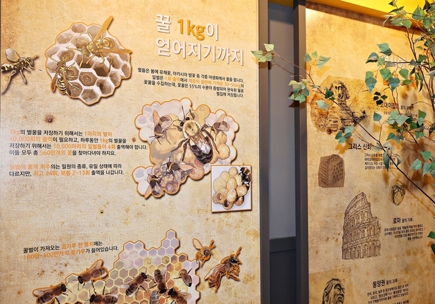 괴산군, 꿀벌랜드 연계 산업관광 체험 프로그램 운영