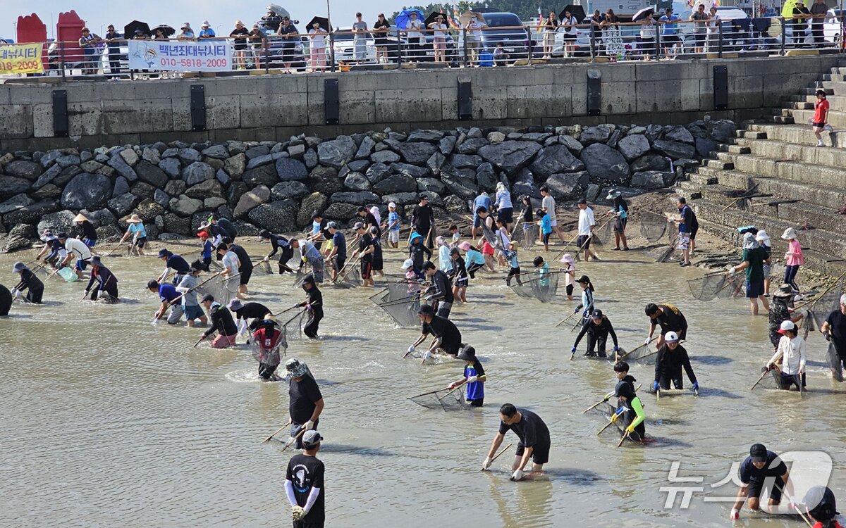 본문 이미지 - 지난해 8월 23일부터 24일까지 삼길포항에서 진행된 제19회 삼길포우럭축제 우럭 독살체험 모습(서산시 제공. 재판매 및 DB금지)/뉴스1