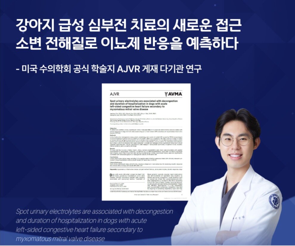 본문 이미지 - 청주 고려동물메디컬센터(KAMC), 수원 본동물의료센터(Bon Animal Medical Center), 전북대 수의과대학 연구진은 공동으로 수행한 다기관 연구 결과를 수의학 분야 국제학술지 미국수의학연구저널 2026년 7월호에 발표했다. 사진은 연구에 참여한 이정민 고려동물메디컬센터 원장(병원 제공). ⓒ 뉴스1