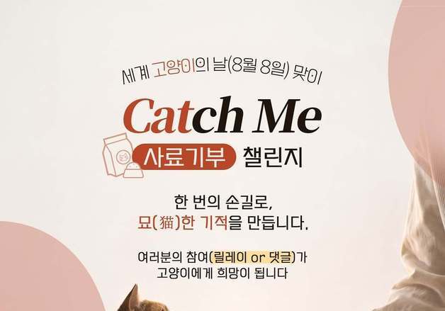 댓글 하나가 사료 기부로…대한수의사회·한국마즈 '캣치미 챌린지'
