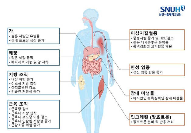 아시아인 비만, BMI만으로 진단 안돼…합병증 가능성 고려해야