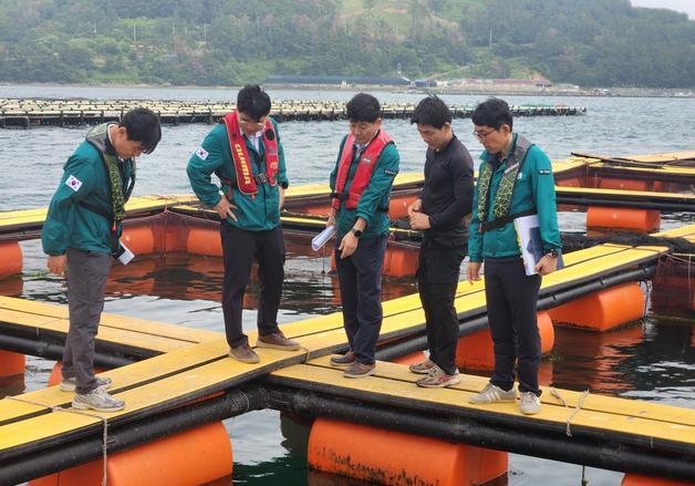 경남 사천만·강진만 '고수온 경보' 격상…욕지도·비진도엔 '주의보'