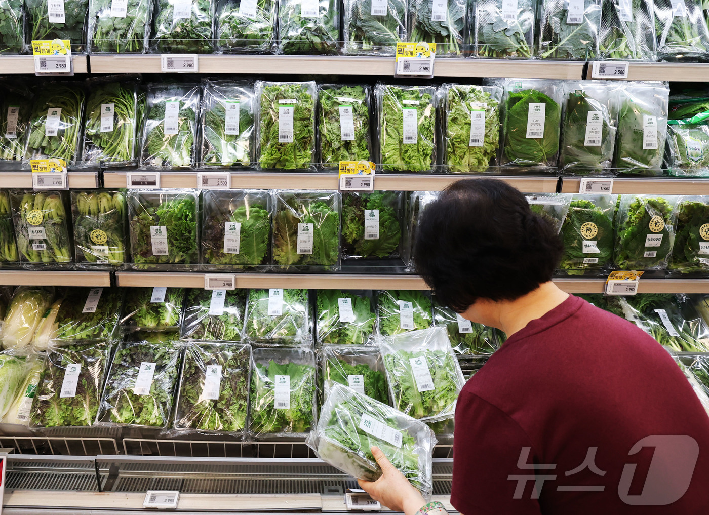(서울=뉴스1) 이종수 기자 = 29일 서울 시내 한 대형마트 채소 판매대에 잎채소가 진열돼 있다. 29일 한국농수산식품유통공사 농산물유통정보시스템에 따르면 전일(28일) 기준 열 …