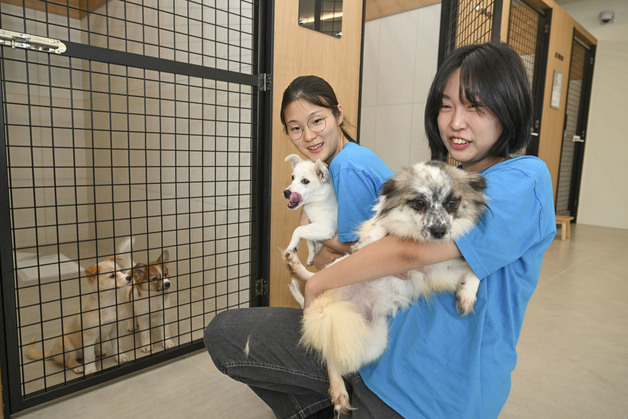 고향사랑기부로 문 연 '피스멍멍'…1년간 유기견 57마리 새 가족 품으로